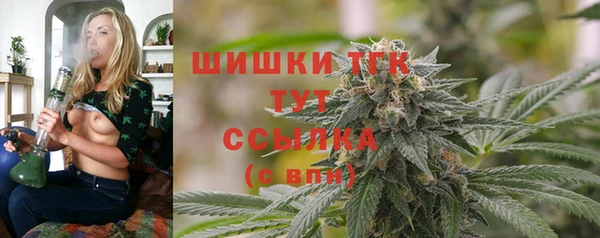 PSILOCYBIN Беломорск